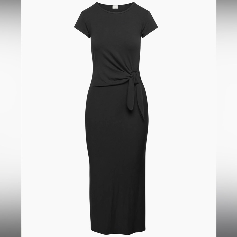 Aritzia Wilfred Fortune Maxi Dress